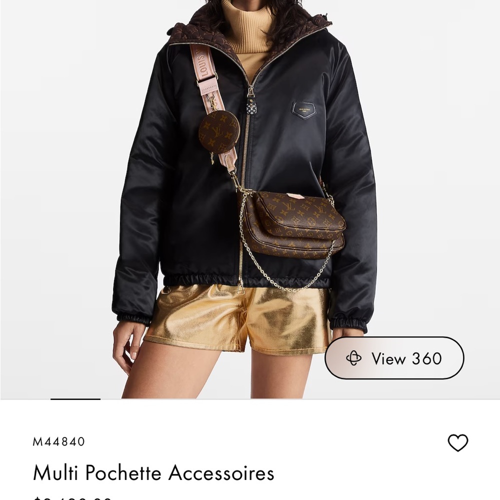 Louis vuitton purse